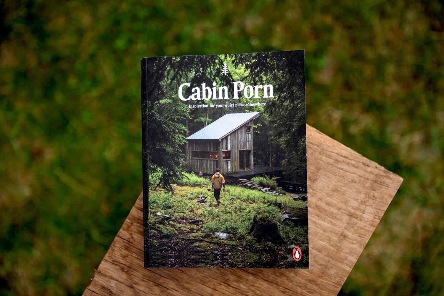 Cabin Porn cover