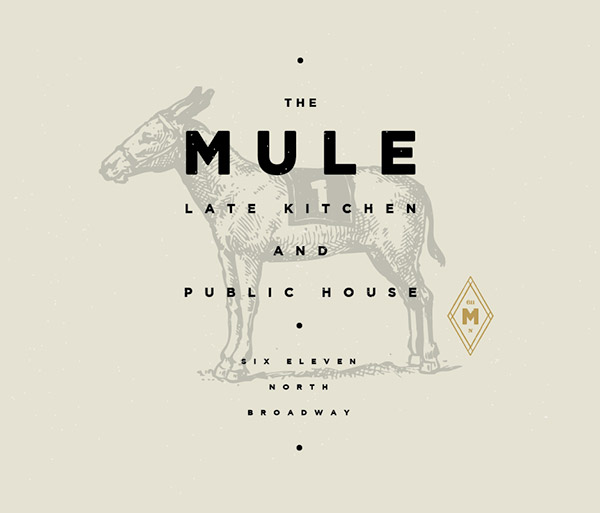 Branding and design for The Mule